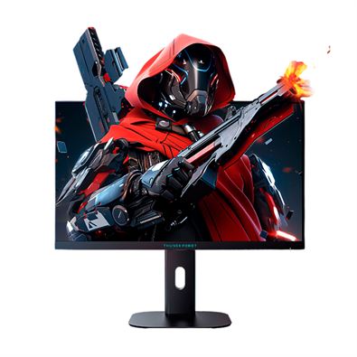 {{photo.Alt || photo.Description || 'Thunderobot Black Warrior ZF25F400L (24,5, 420Hz,FHD,IPS)'}}